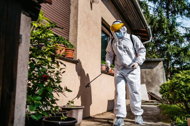 Trusted Venice, FL Pest Control Experts