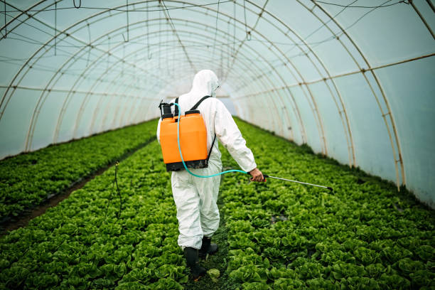 Best Pest Prevention Services  in Venice, FL