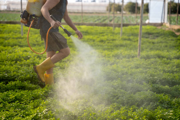 Best Pest Removal Services  in Venice, FL