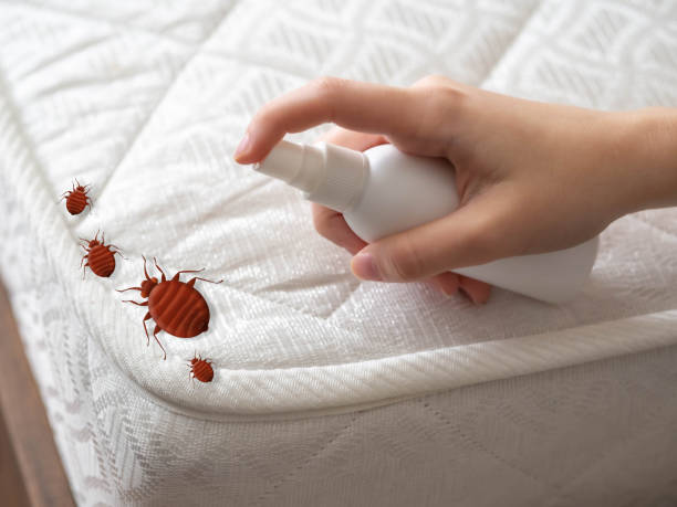 Best Best Pest Control Companies  in Venice, FL