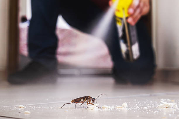 Best Cockroach Control Services  in Venice, FL