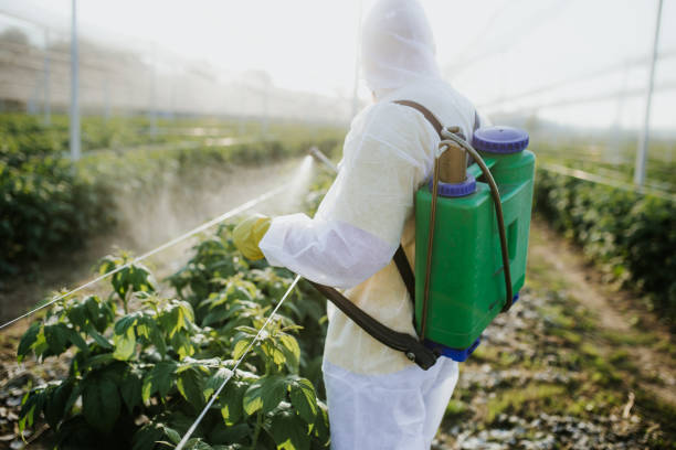 Insect Control in Venice, FL